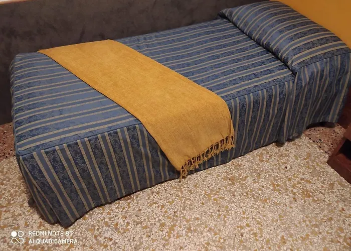 特兰缇斯酒店 酒店